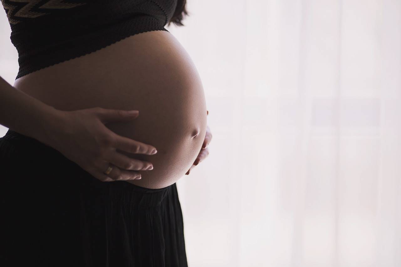 Lee más sobre el artículo El Embarazo : Aprendiendo todo lo necesario