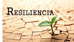 Resiliencia Emocional: Habilidad adaptativa eficiente