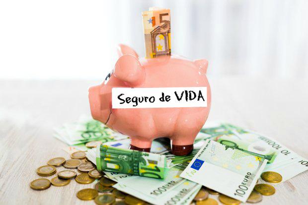 tipo de seguro de vida ahorro