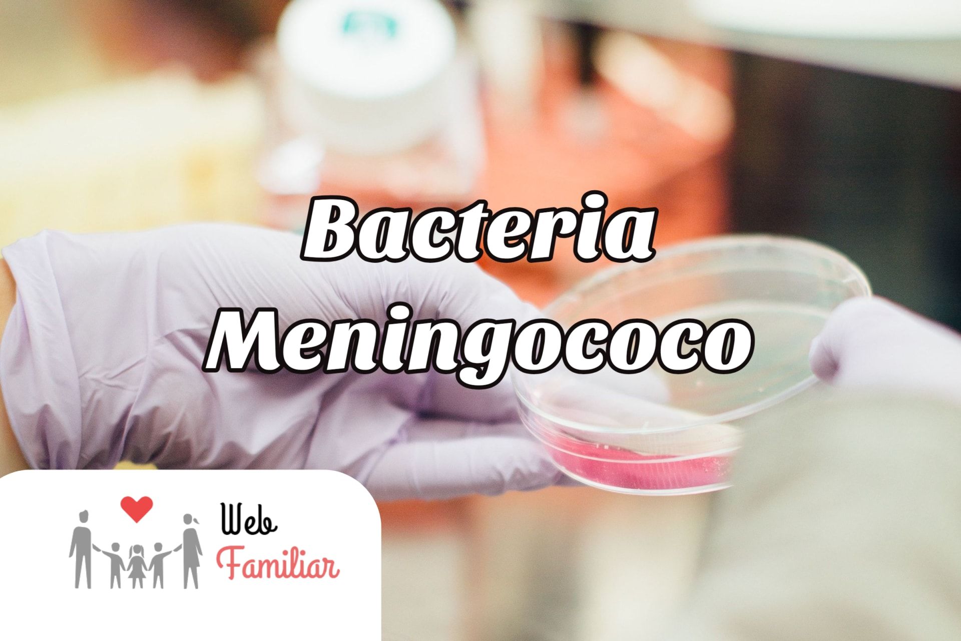 Lee más sobre el artículo 🤒 ¡¡Alerta!! 🚨 Descubre todo lo que debes saber sobre la bacteria meningococo 🤒