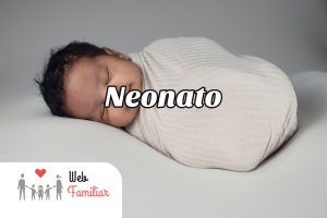 Lee más sobre el artículo 🤱Consejos Para los Primeros Meses de un Neonato 🤱