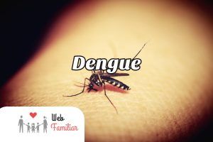 Lee más sobre el artículo 🤒 Prevención del Dengue: Tips Esenciales para Evitar Contagios 🤒