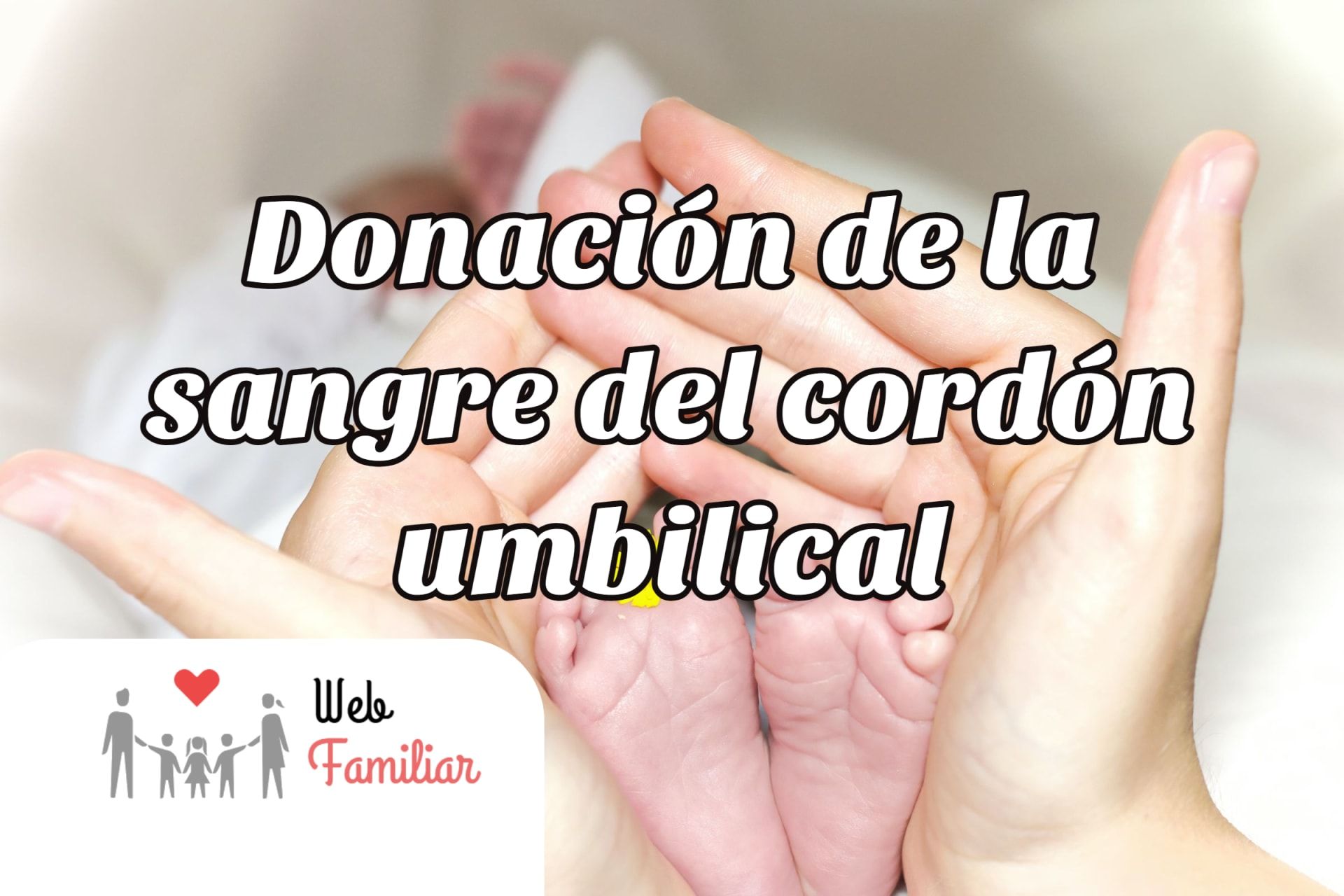 Lee más sobre el artículo 🔴 Donación de Sangre del Cordón Umbilical: ¿Cómo Ayudar a Salvar Vidas? 🔴