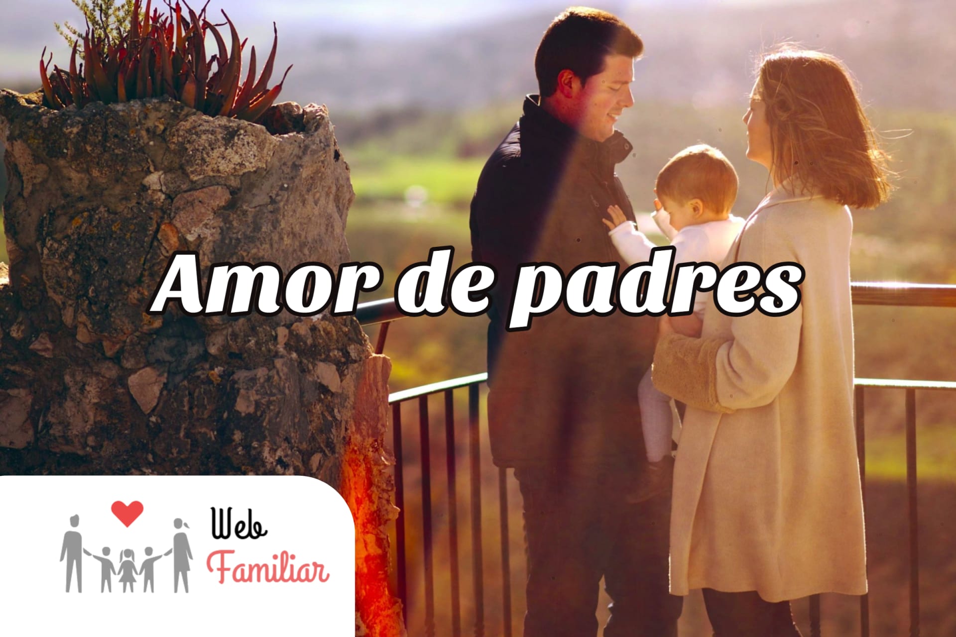 Lee más sobre el artículo Amor de Padres: 💗Aprende cómo demostrar tu gratitud por sus cuidados💗